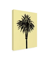 Erik Asl Palm Tree 1996 (Yellow) Canvas Art - 36.5" x 48"