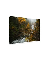 Enrico Fossat A Bridge in the Forest Canvas Art - 36.5" x 48"