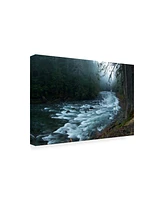 PhotoINC Studio River in the Forest Canvas Art - 36.5" x 48"