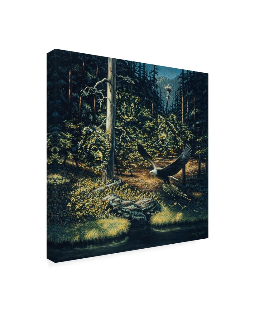 John Van Straalen Forest Sentinel Canvas Art