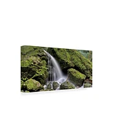 Alan Blaustein Canyon Falls No. 13 Canvas Art - 15.5" x 21"