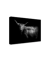 PhotoINC Studio Hello Highland Cow Canvas Art