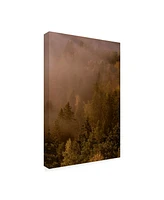 PhotoINC Studio Autumn Forest Green Canvas Art - 27" x 33.5"