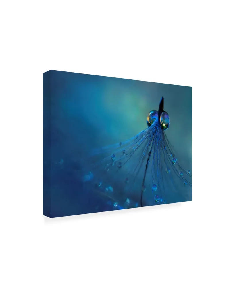 Heidi Westum Dancing Into the Blue Night Canvas Art - 20" x 25"
