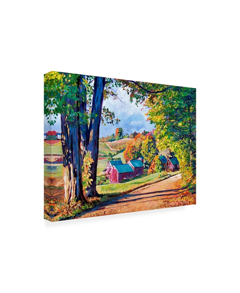 David Lloyd Glover Road to Jenne Farm Vermont Canvas Art - 20" x 25"