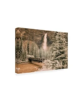 Monte Nagler Takkakaw Falls and Bridge Canadian Rockies Canada Canvas Art - 20" x 25"