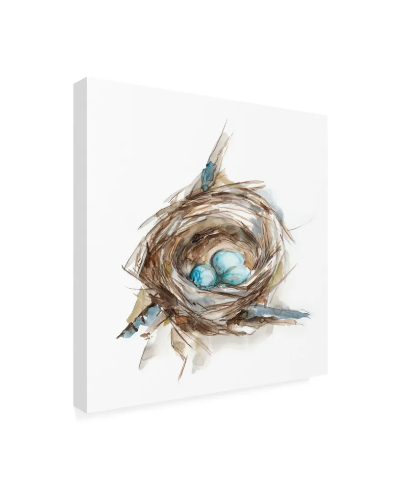 Ethan Harper Bird Nest Study Ii Canvas Art
