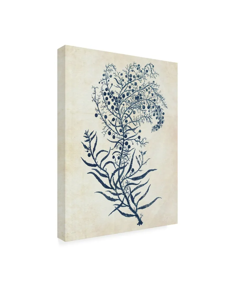 Fab Funky Indigo Blue Seaweed C Canvas Art