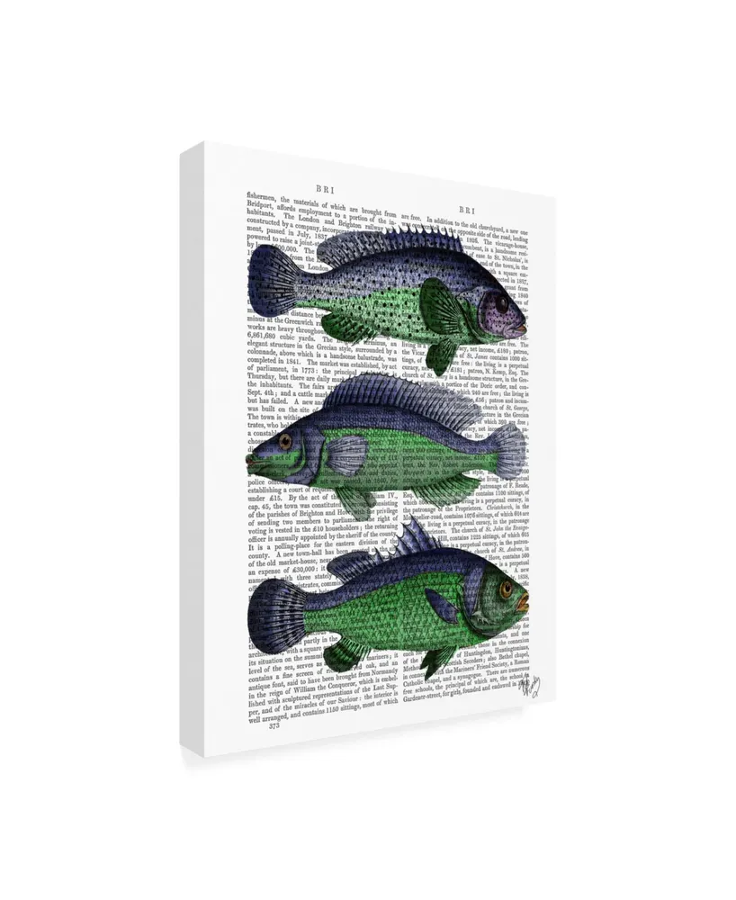 Fab Funky Blue and Green Fish Trio Canvas Art