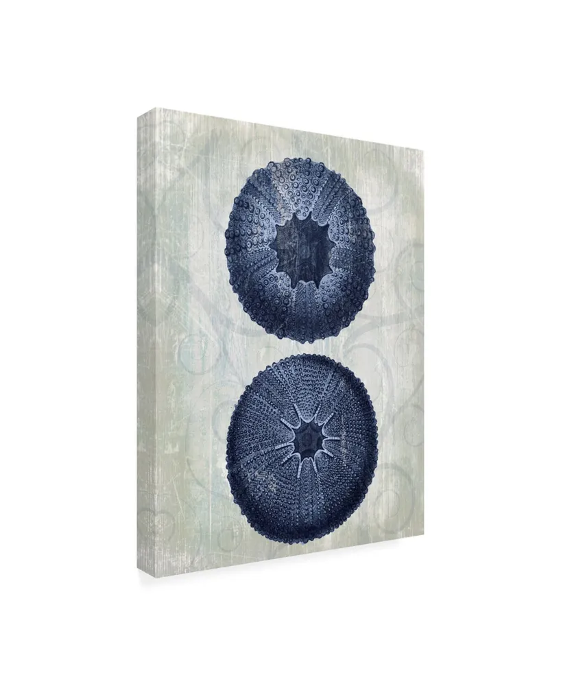 Fab Funky Indigo Blue Sea Urchins B Canvas Art