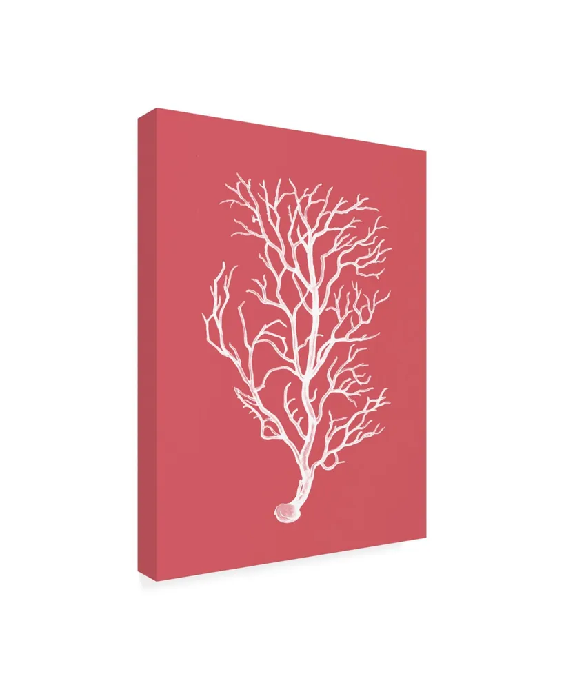 Fab Funky Corals White on Coral B Canvas Art