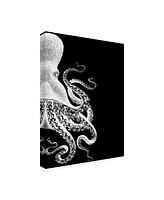 Fab Funky Octopus Black and White B Canvas Art - 15.5" x 21"