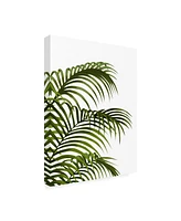 Fab Funky Palm Leaf 1, Green on White Canvas Art - 19.5" x 26"