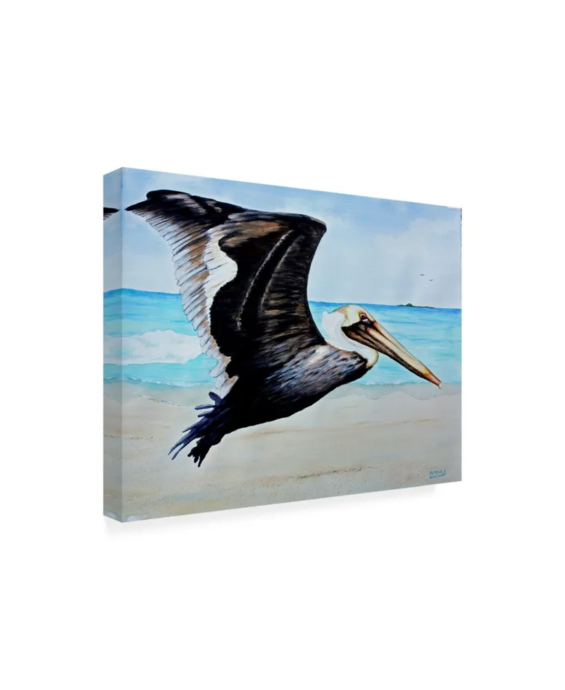 Patrick Sullivan Large Pelican Canvas Art