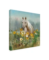 Danhui Nai Farm and Field Ii Canvas Art - 19.5" x 26"