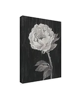 Ethan Harper Black and White Flowers Ii Canvas Art - 36.5" x 48"