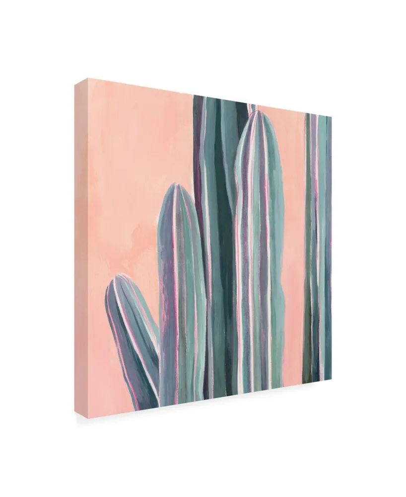 Grace Popp Desert Dawn Vi Canvas Art