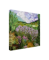 Allan Friedlander California Dreaming Flowers Canvas Art - 19.5" x 26"