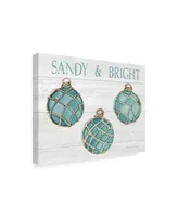 Kathleen Parr Mckenna Coastal Holiday Ornament Viii Sandy and Bright Canvas Art