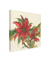 Chris Paschke Poinsettia Ii Canvas Art - 15" x 20"