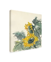 Chris Paschke Sunflower Watercolor Ii Canvas Art - 20" x 25"