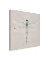 James Wiens Soft Summer Sketches Vi Canvas Art