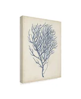 Vision Studio Indigo Coral Vi Canvas Art - 15" x 20"