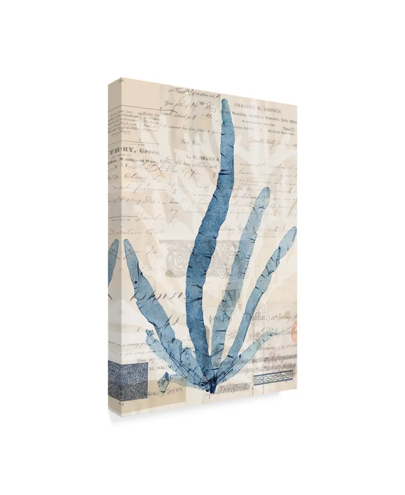 Vision Studio Seaweed Arrangement Ii Canvas Art - 20" x 25"