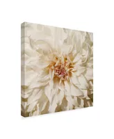 Alonzo Saunders Wall Flower Viii Canvas Art - 15" x 20"