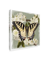 Victoria Borges Butterfly Branch Ii Canvas Art - 15" x 20"