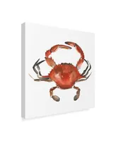 Emma Scarvey Watercolor Crab I Canvas Art - 15" x 20"