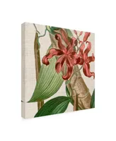 Vision Studio Cropped Turpin Tropicals Ix Canvas Art - 15" x 20"