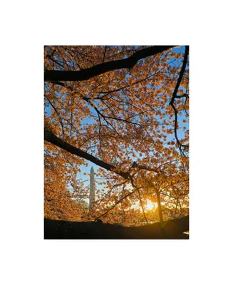 Mitch Catanzaro Cherry Blossom Sunrise Canvas Art