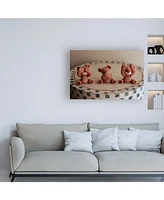 Sugar High Bears Hear See Speak Canvas Art - 36.5" x 48"