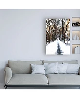 Philippe Hugonnard Snowy road Central Park Canvas Art - 27" x 33.5"