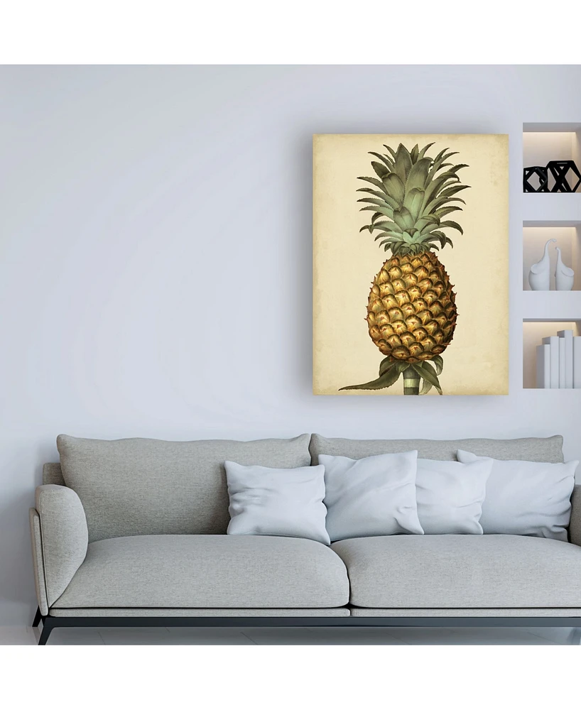 George Brookshaw Brookshaw Antique Pineapple I Canvas Art - 19.5" x 26"
