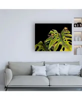 Deborah Broughton Frog Monster Double Date Canvas Art