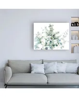 Danhui Nai Eucalyptus I Cool Canvas Art