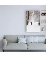 Stefano Cors Winter Rose Canvas Art