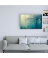 PhotoINC Studio Woods Canvas Art - 27" x 33.5"