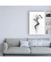 Incado Flattened Canvas Art - 27" x 33.5"