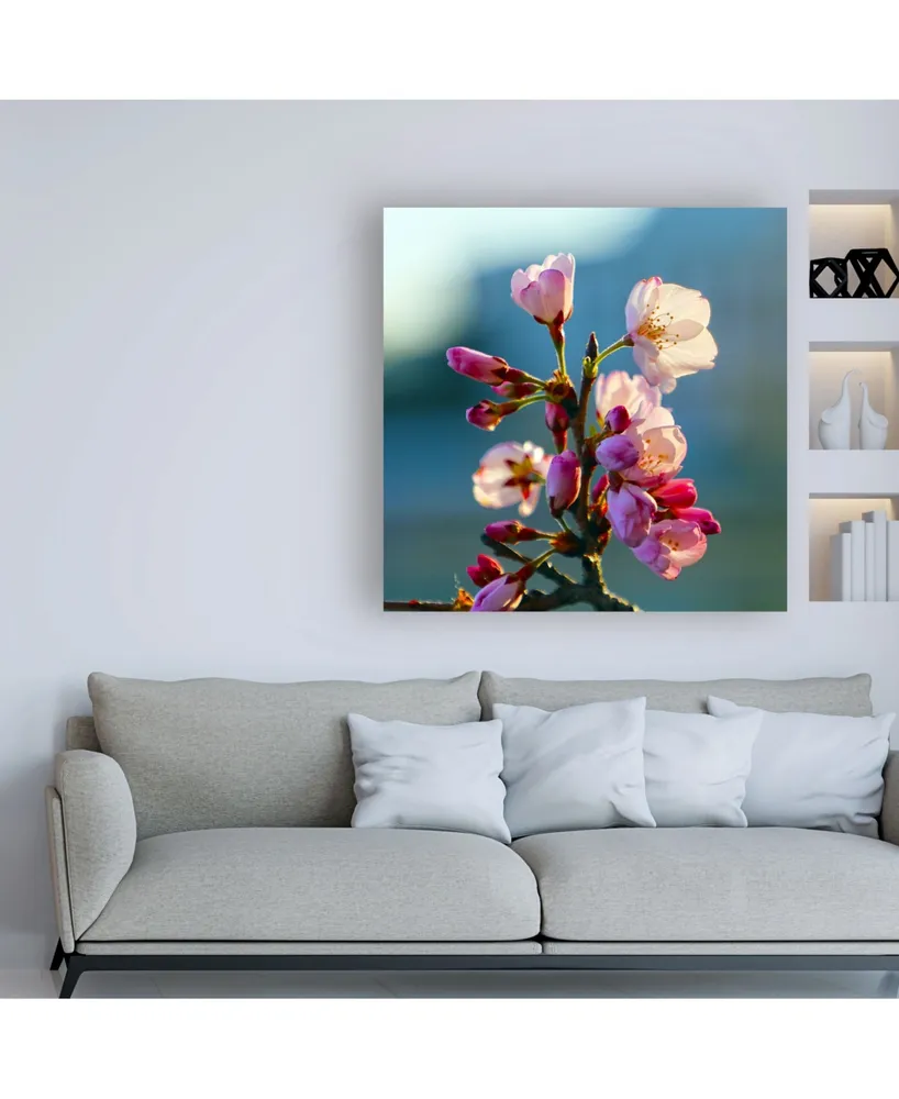 Mitch Catanzaro Cherry Blossom Blurred Canvas Art - 36.5" x 48"