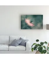 Heidi Westum The Virgin Pink Flower Canvas Art