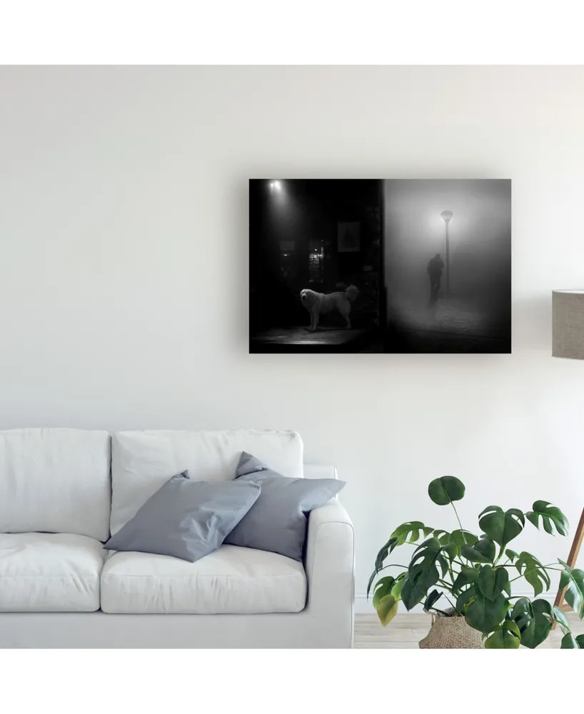 George Digalakis Darkness and Light Canvas Art