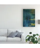 Andreas Agazzi Aqua Lily Canvas Art - 15" x 20"