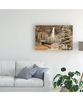 Monte Nagler Takkakaw Falls and Bridge Canadian Rockies Canada Canvas Art - 20" x 25"