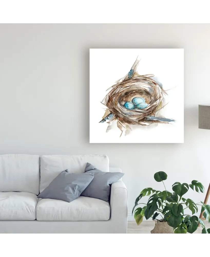 Ethan Harper Bird Nest Study Ii Canvas Art