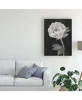 Ethan Harper Black and White Flowers Ii Canvas Art - 36.5" x 48"