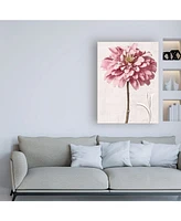 Christine Zalewski Pink Zinnia Ii Canvas Art