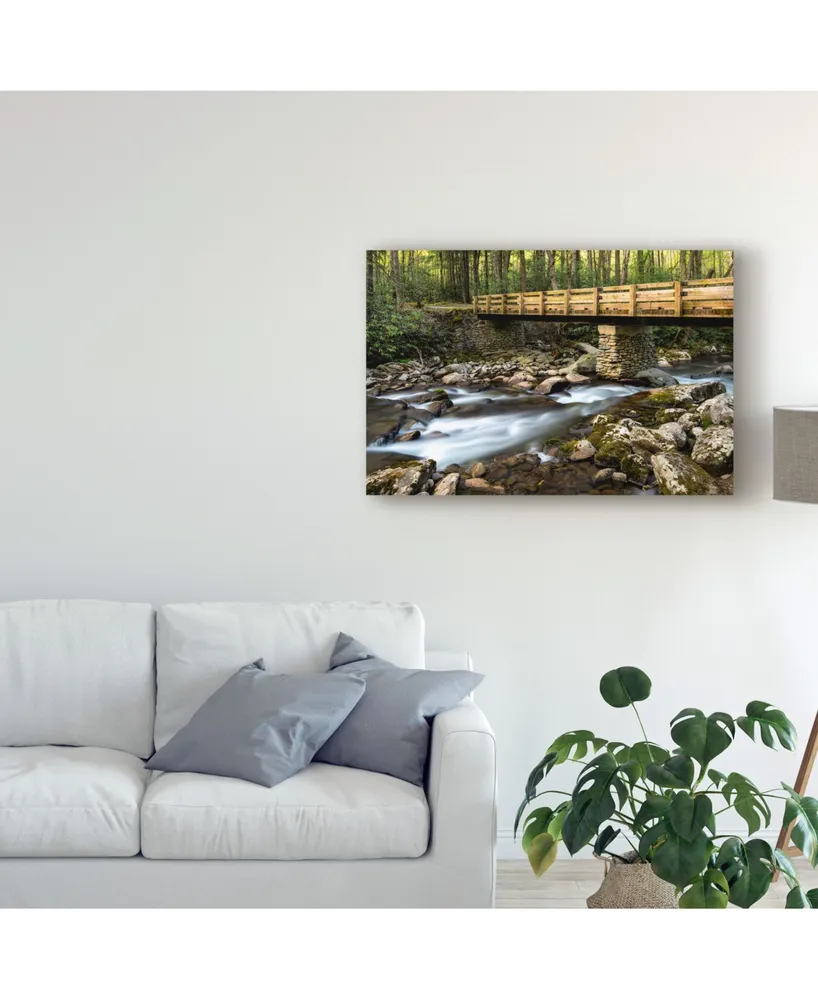 Danny Head Bridge and Cascade I Canvas Art